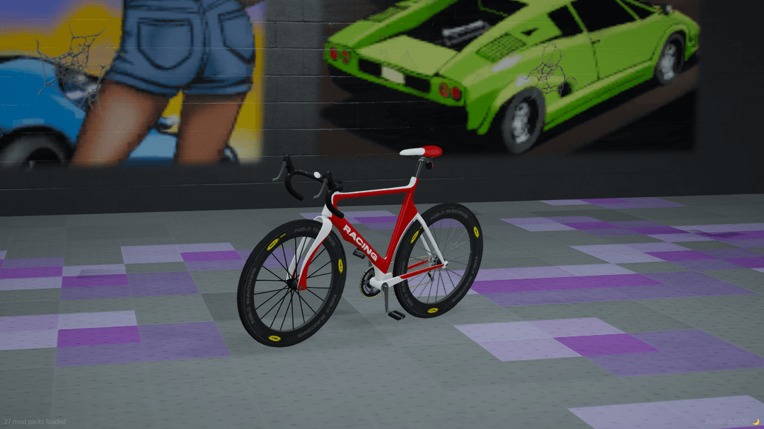 Custom Racing Bicycle